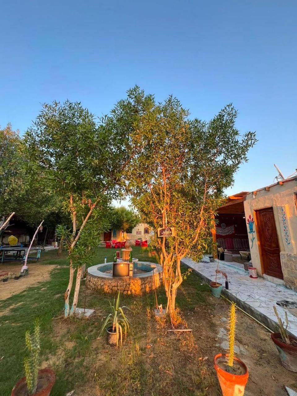 Day, Natural landscape, Garden, Garden view