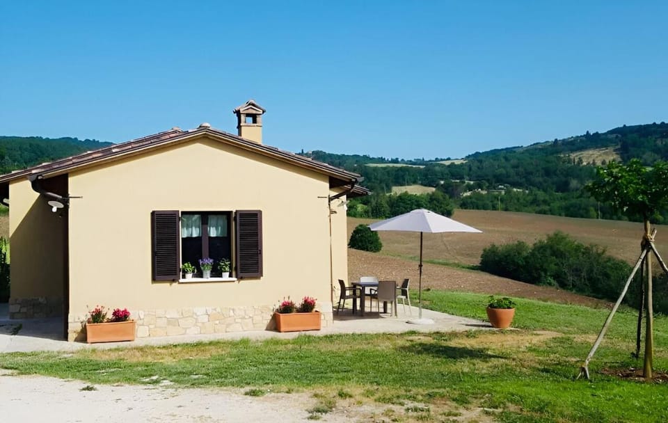 Property building, Garden, Garden view