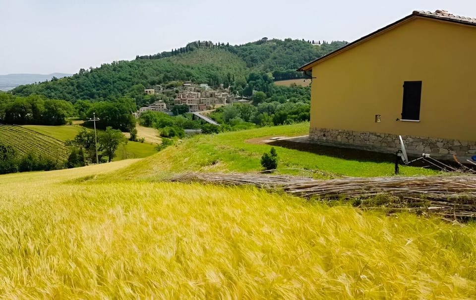 Natural landscape