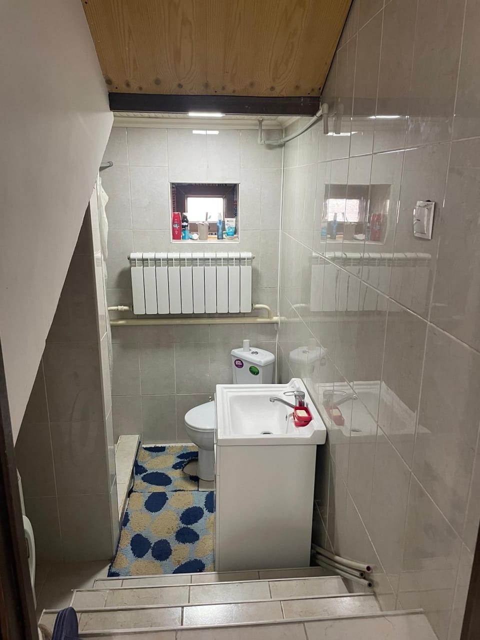 Shower, Toilet, Bathroom, towels