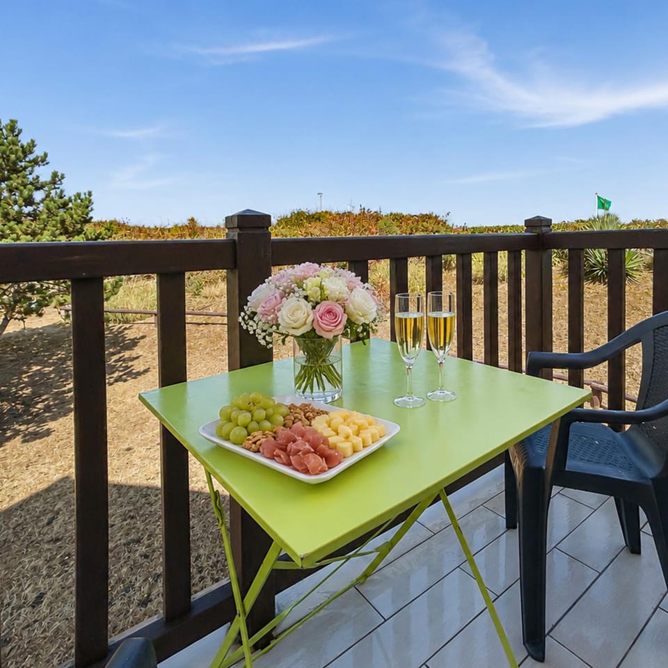 Studio avec balcon, vue dunes & mer - direct plage Apartment in Normandy