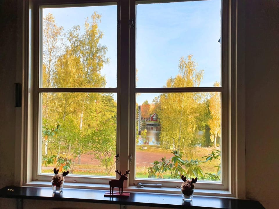 Garden view