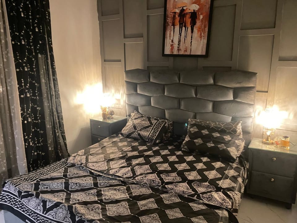 Beautifully furnished house House in Lahore
