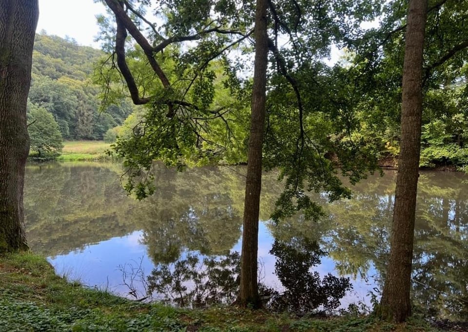 Natural landscape
