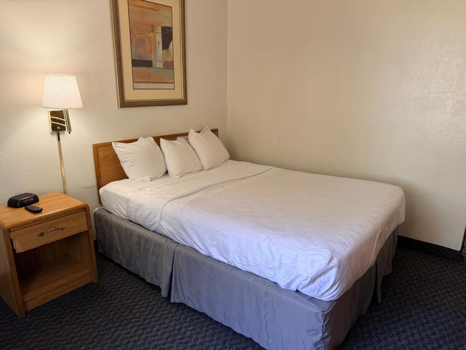 Roseville Budget Inn Hotel in Roseville
