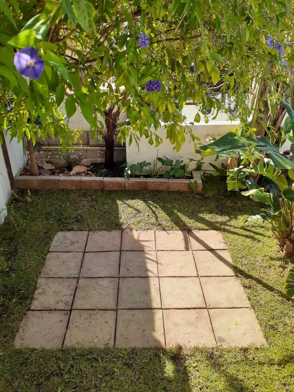 Historic 1 bedroom, garden cottage House in Western Cape