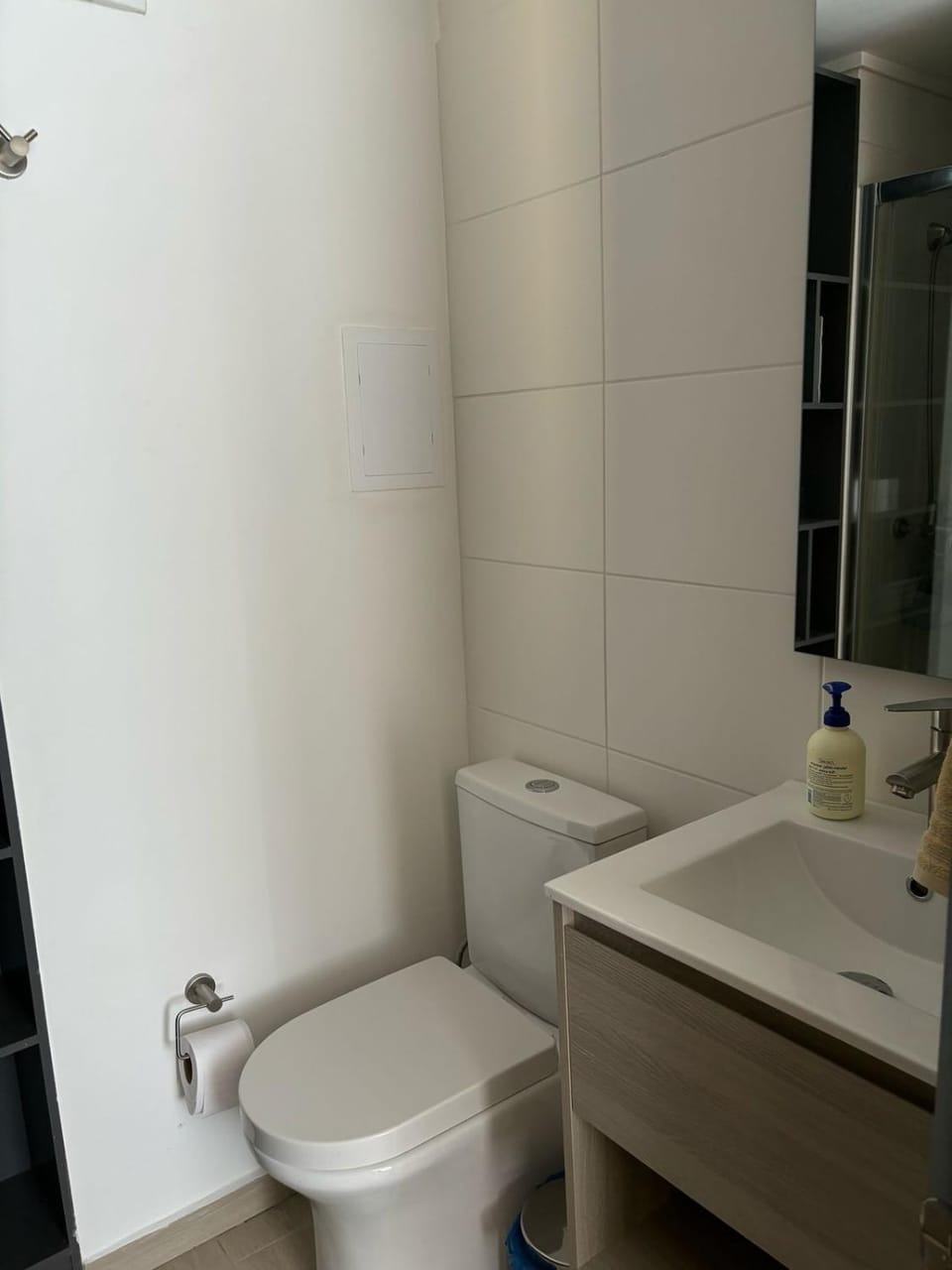 Close to O'Higgins Park & Movistar Arena Apartment in Santiago