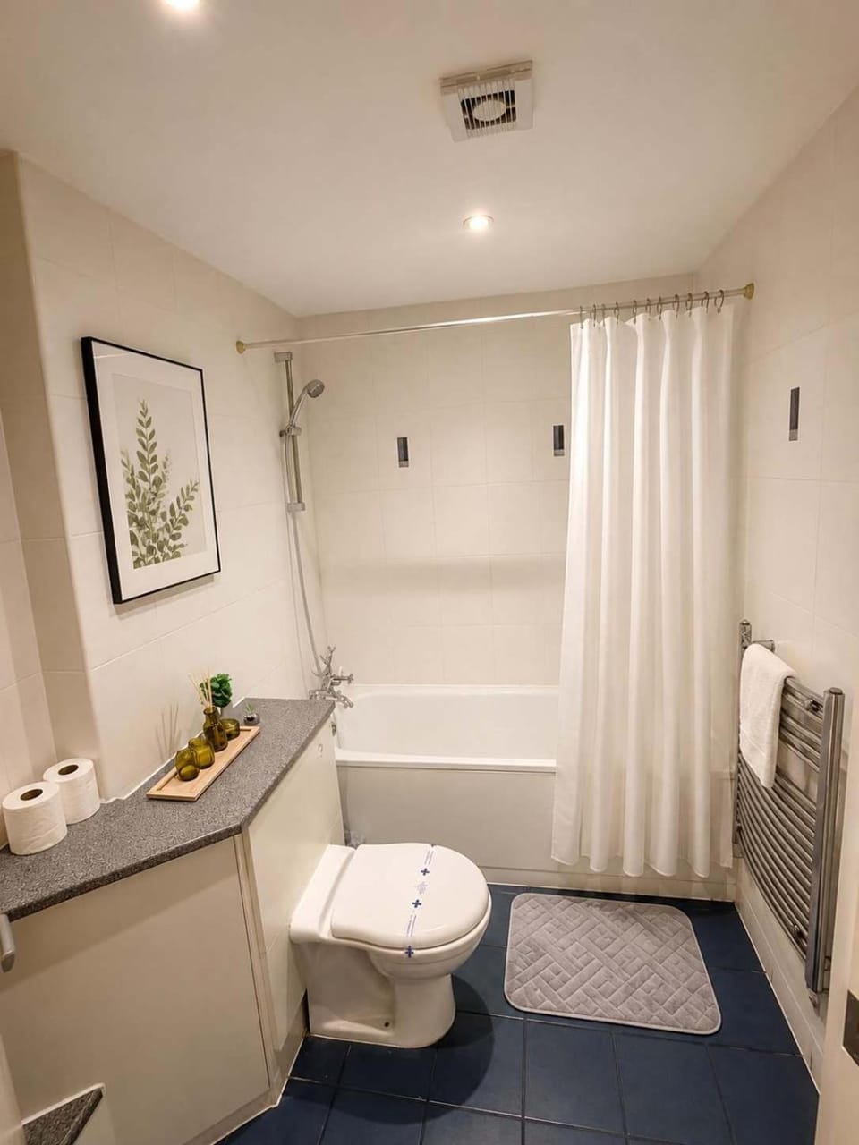 Shower, Toilet, Bathroom, Bath