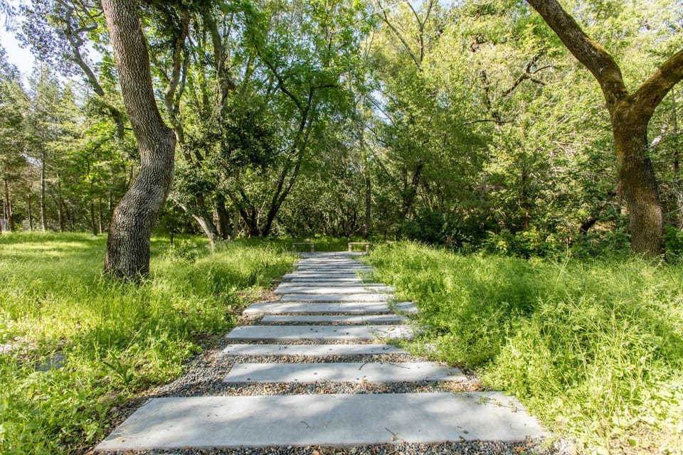 Spring, Day, Natural landscape, Garden, Garden view