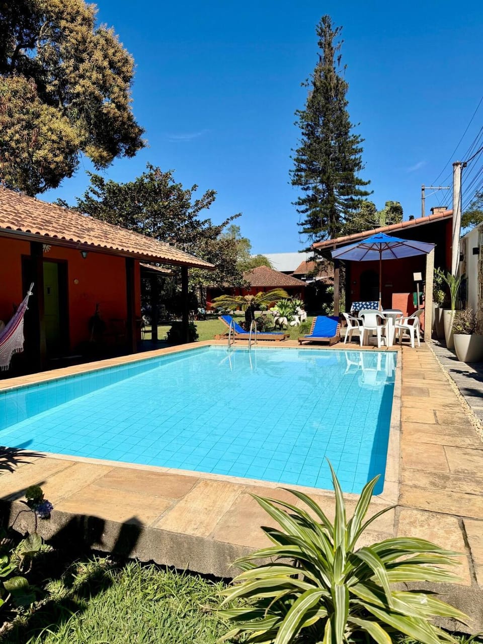 Day, Swimming pool, sunbed