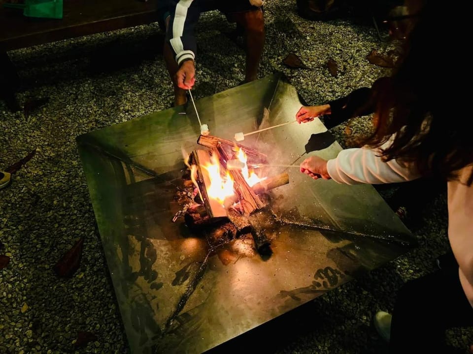 Night, Garden, Spa and wellness centre/facilities, fireplace