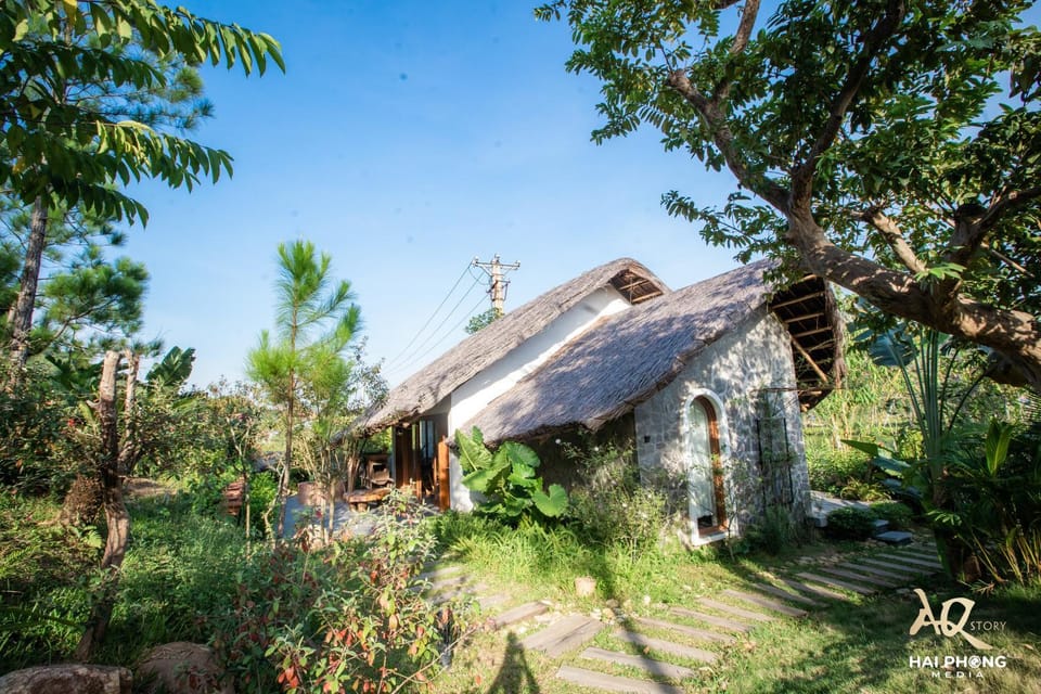 Property building, Day, Natural landscape, Garden, Garden view
