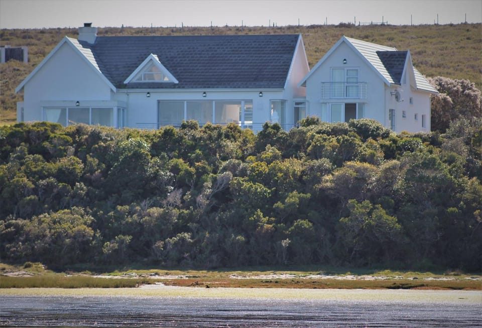 Natural landscape, River view