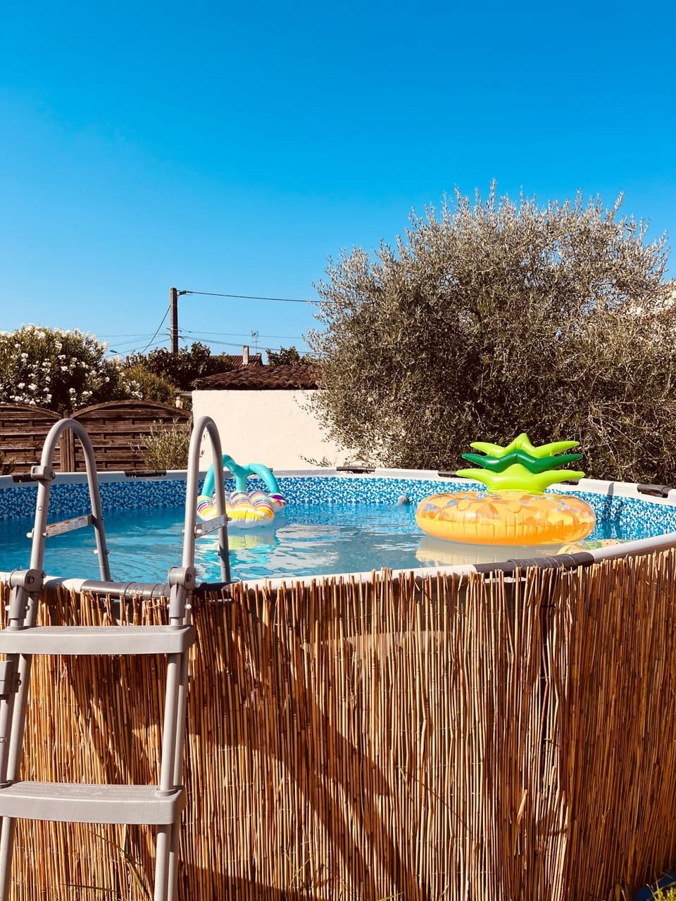 VILLA CLIMATISÉ ENTIÈREMENt EQUIPÉ AVEC PISCINE Villa in Occitanie