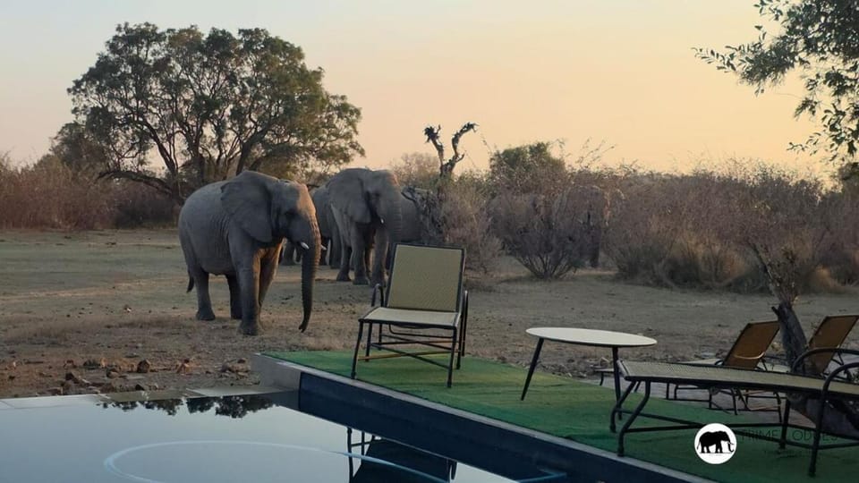 Indlovukazi Lodge Mabalingwe Nature Reserve Villa in North West, South Africa