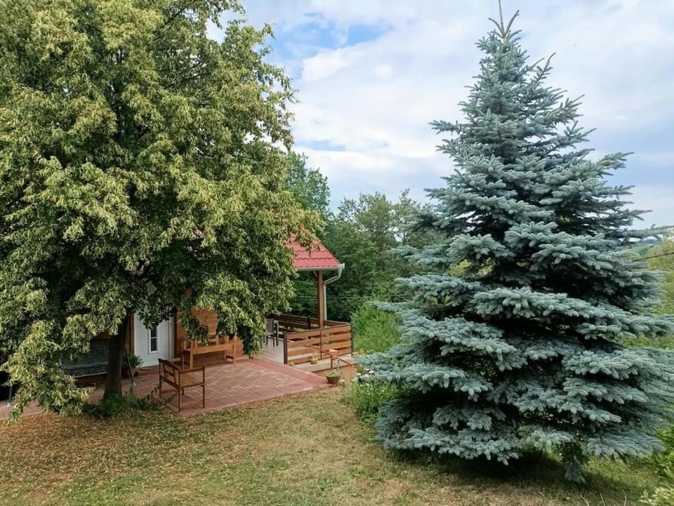 Natural landscape, Garden, Garden view