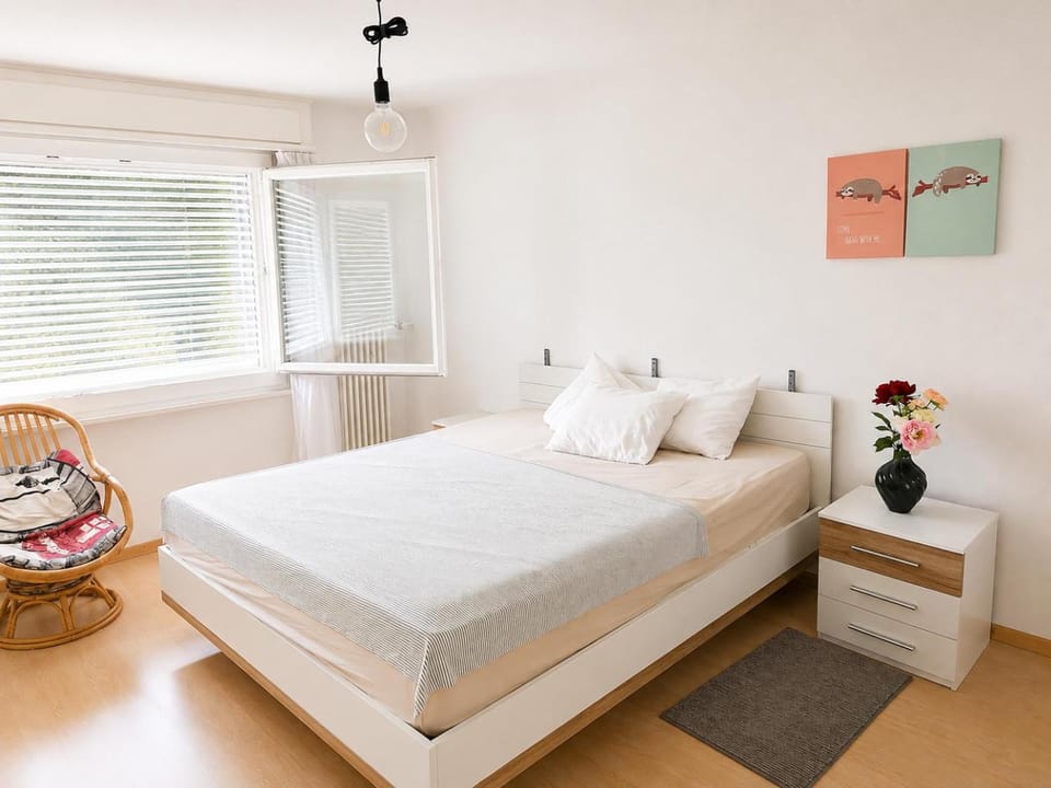 Furnished Apartment Apartment in Aargau, Switzerland