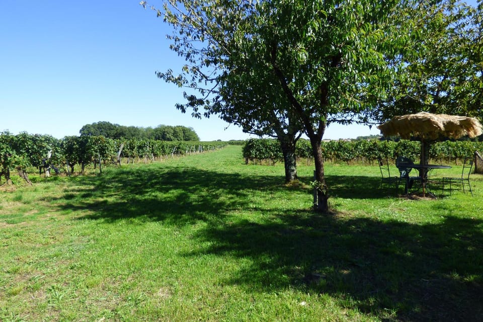 Natural landscape, Garden, Garden view