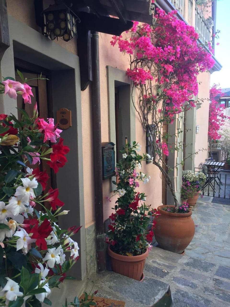 Casa Lina Bouganville Bed and Breakfast in Sicily