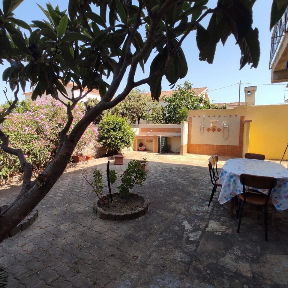 Spring, Summer, Garden, Balcony/Terrace, Autumn
