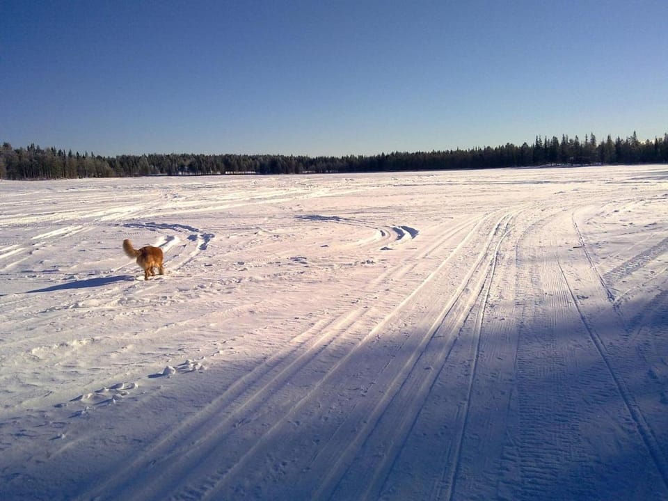 Natural landscape, Winter