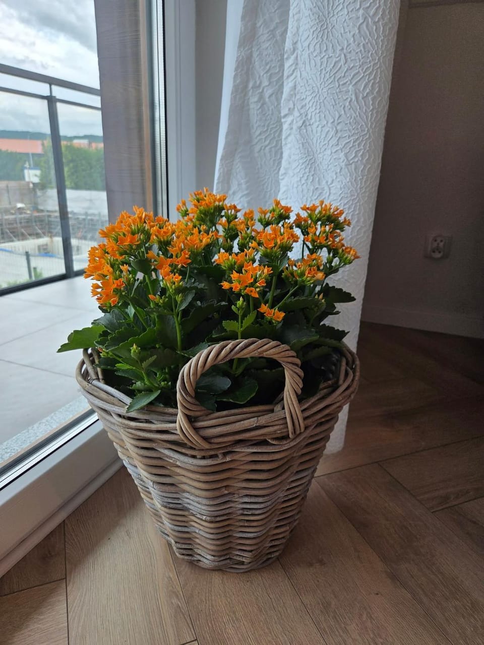 Apartament Jeziorna 3 Apartment in Pomeranian Voivodeship