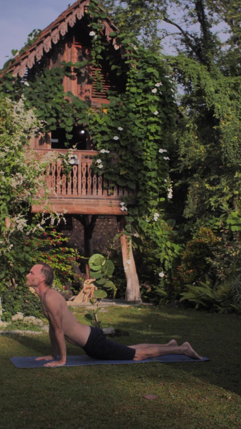 Activities, Garden view