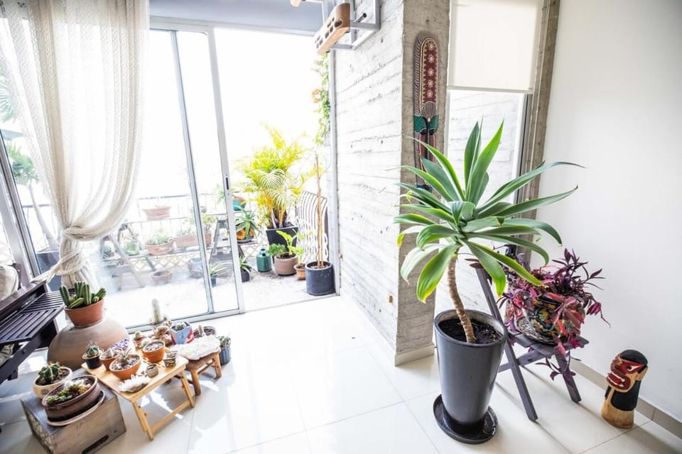 Loft with Jacuzzi and Terrace Apartment in Mexico City