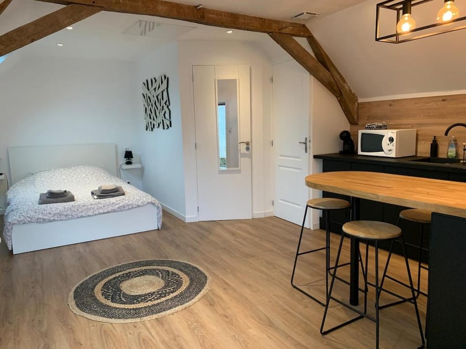 Charmant studio climatisé sur Bords de Loire Apartment in Pays de la Loire
