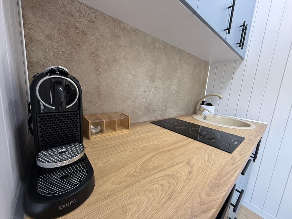 Coffee/tea facilities, Kitchen or kitchenette, minibar, pet friendly, stove