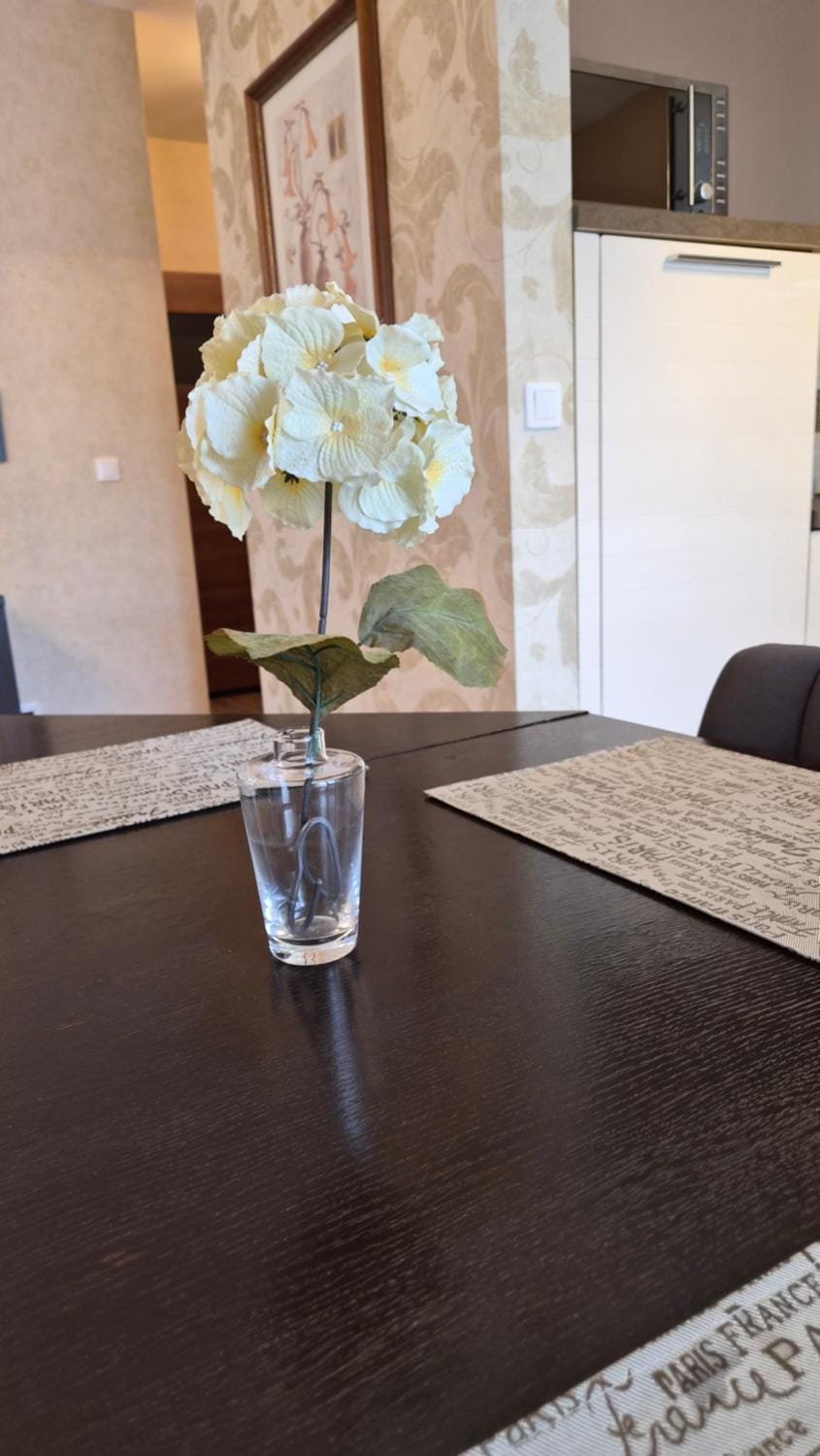 Apartament 12 Polanica Zdrój - Marel Apartment in Lower Silesian Voivodeship