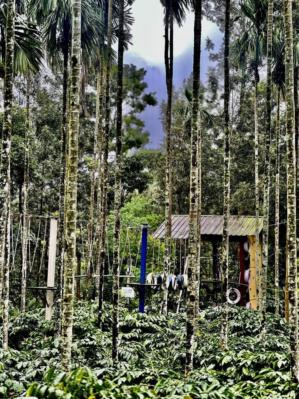 Familystay by Bilwa estate Jammanahalli Saklespur Vacation rental in Karnataka