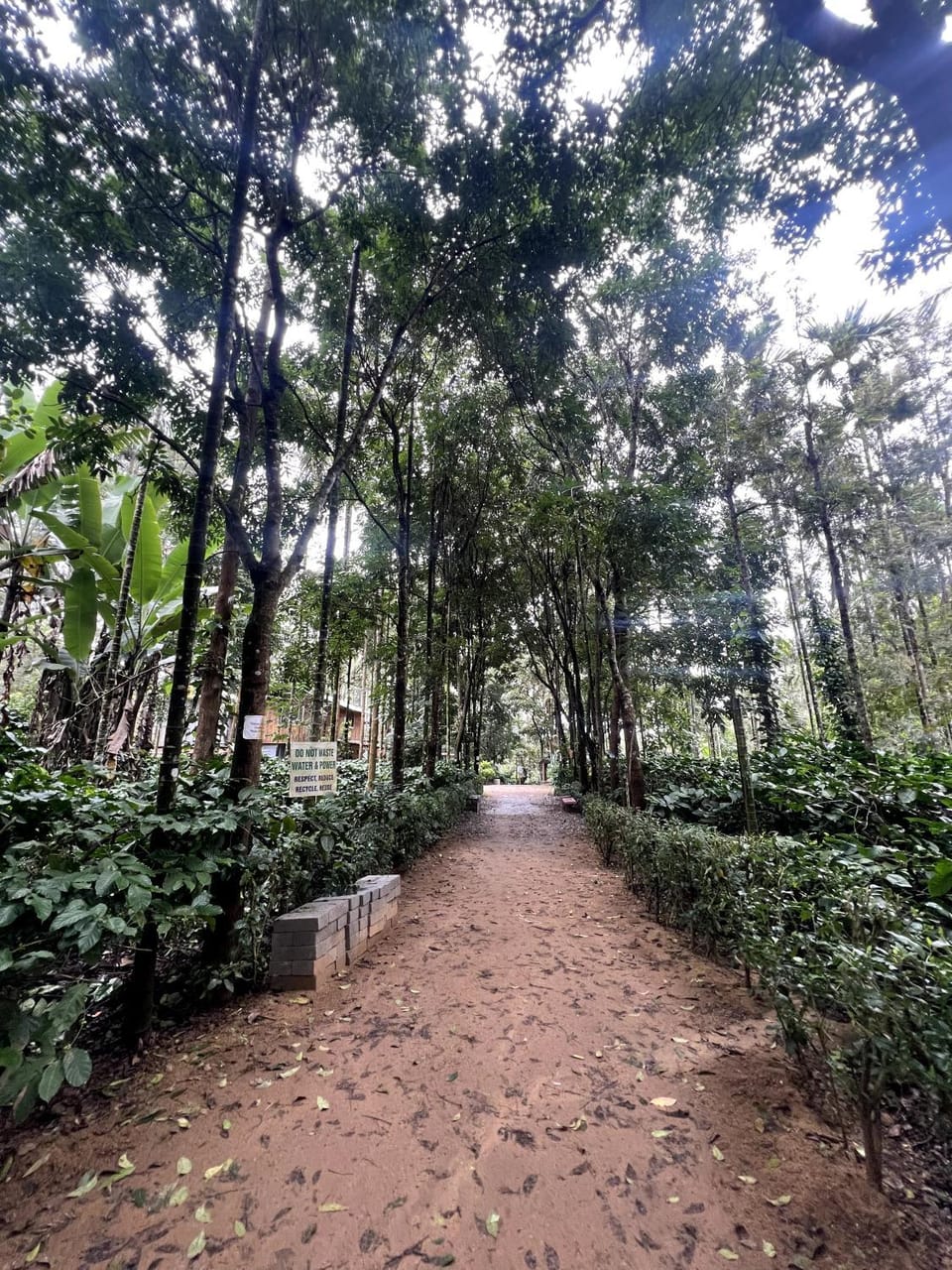 Familystay by Bilwa estate Jammanahalli Saklespur Vacation rental in Karnataka