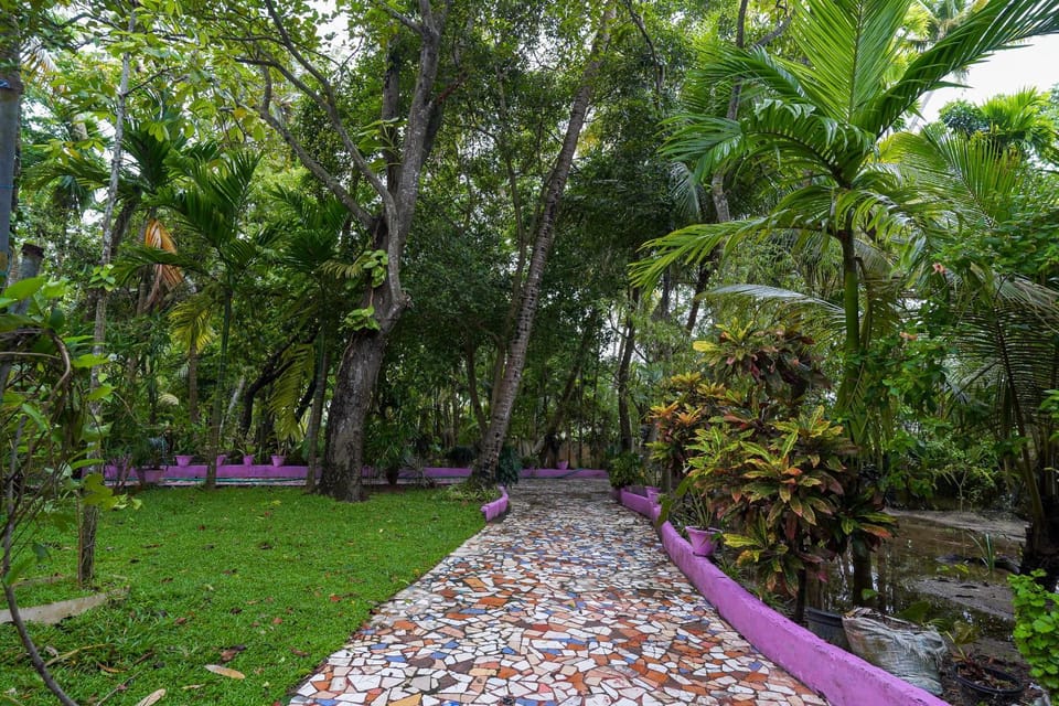 Lakeview Outhouse Apartment in Kochi