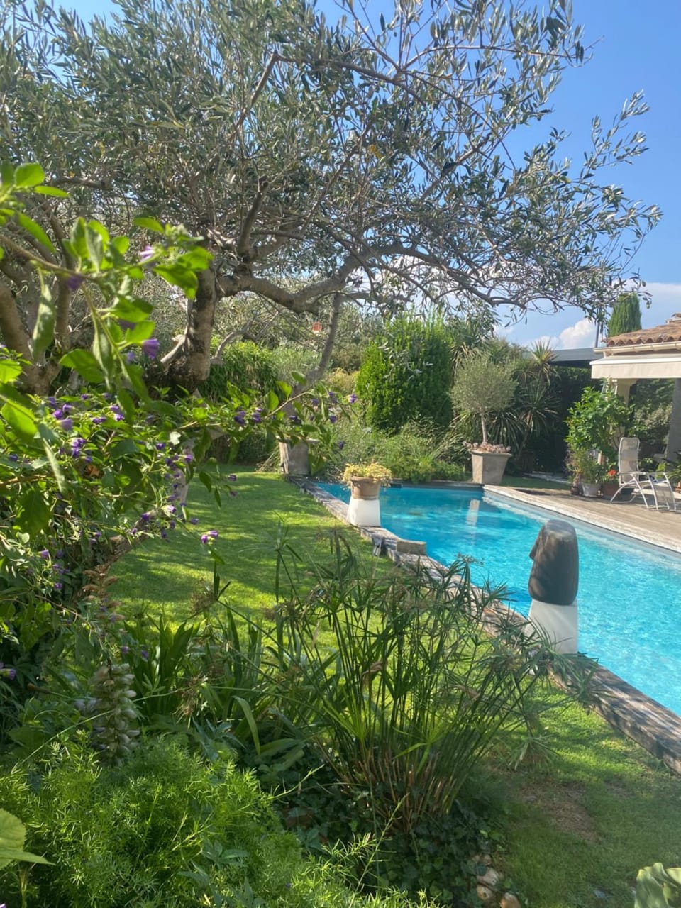 Garden view, Pool view