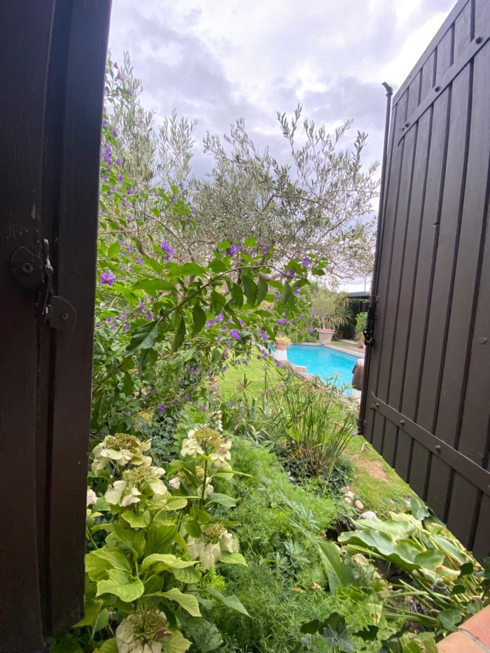 Garden view, Pool view
