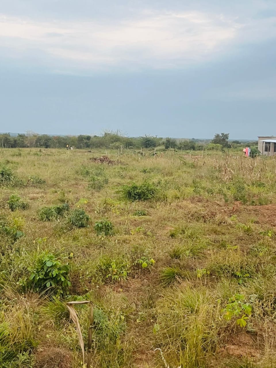 Natural landscape
