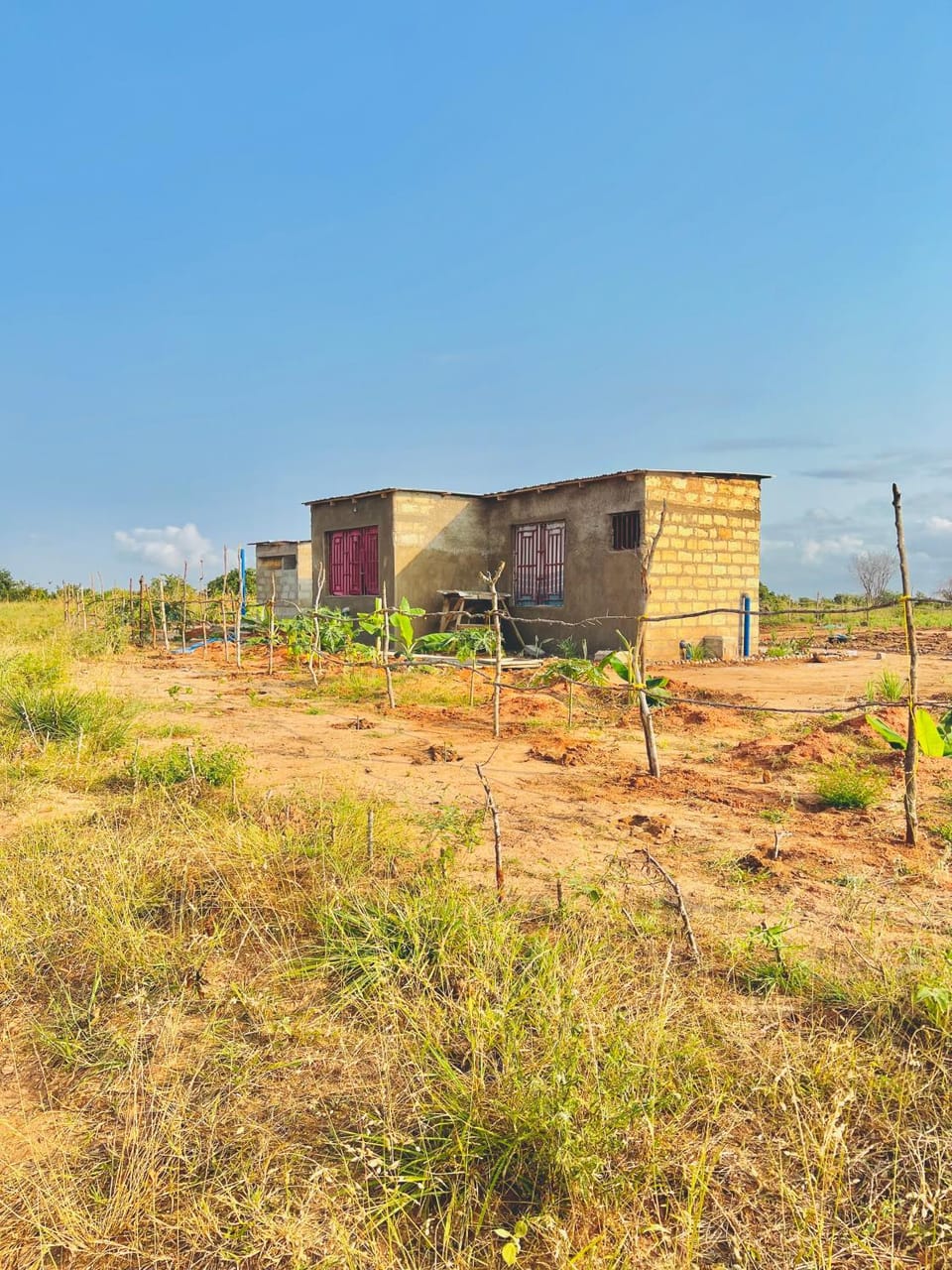 Property building, Day, Landmark view