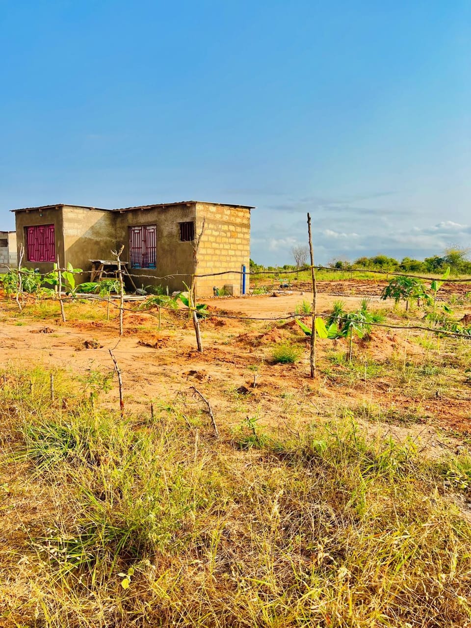 Property building, Day, Natural landscape