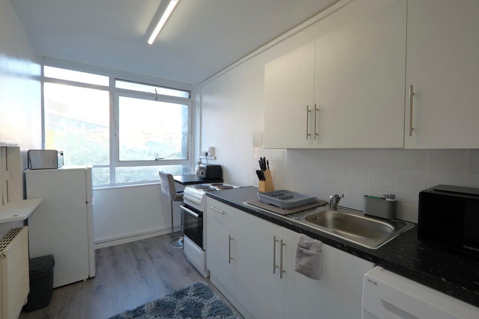 A Modernist Home in the Heart of SE1 Apartment in London Borough of Southwark