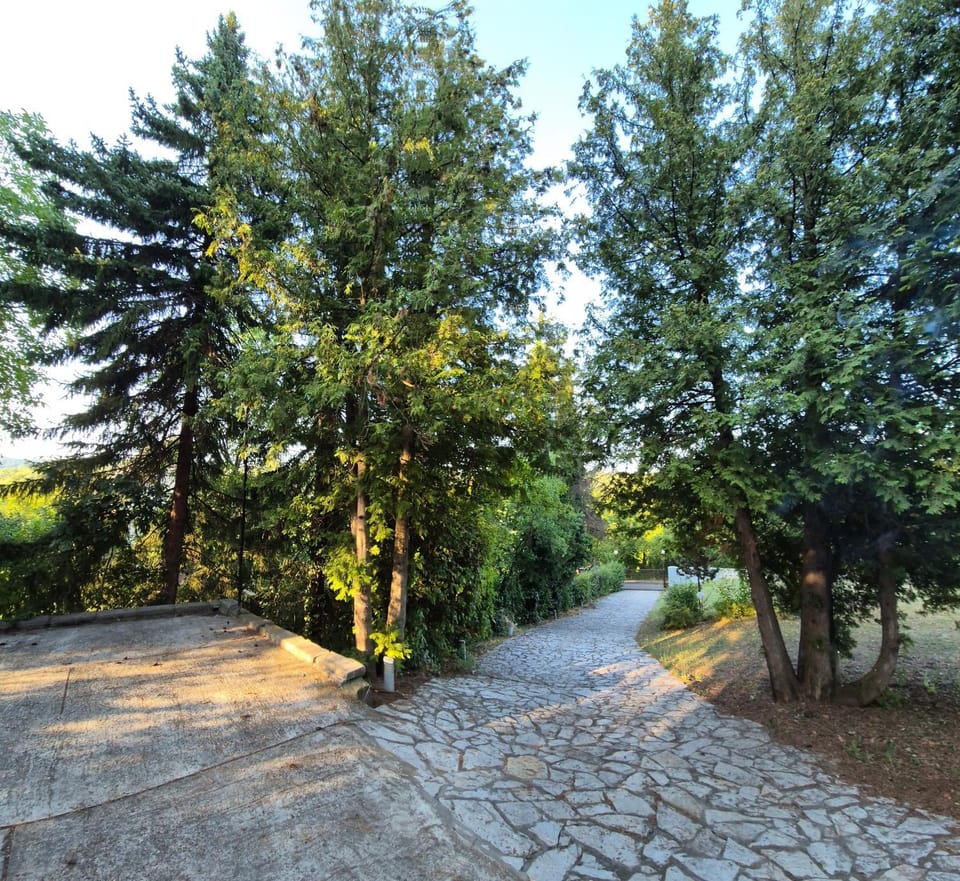 Natural landscape, Garden, Garden view