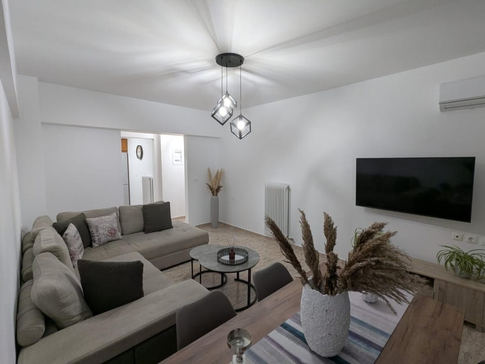 TV and multimedia, Living room, Seating area, air conditioner