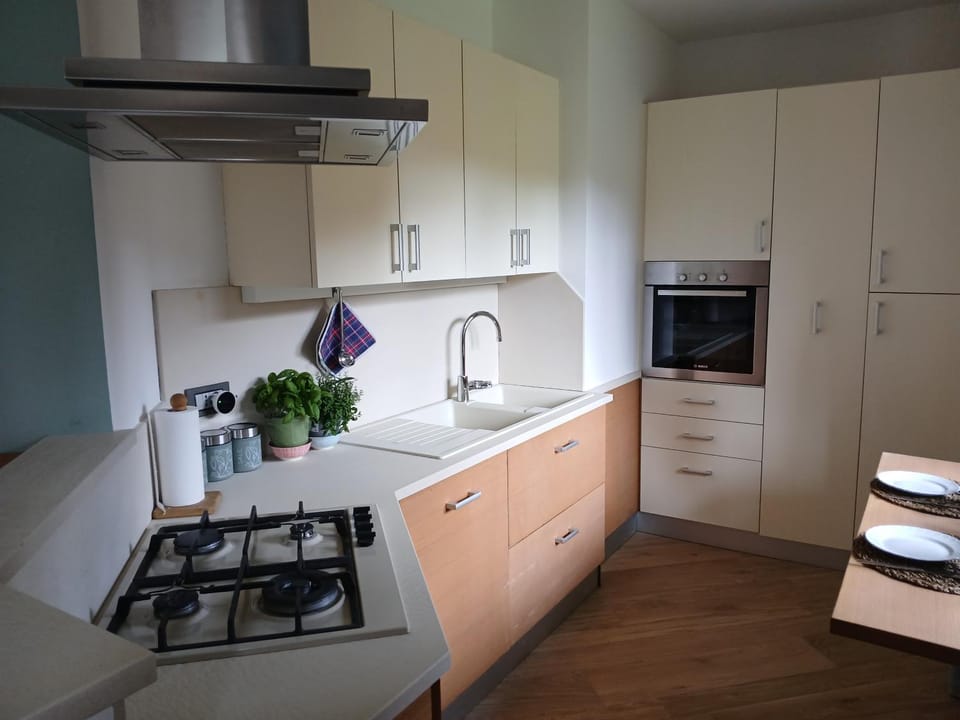 Coffee/tea facilities, Kitchen or kitchenette, dishwasher, oven, stove