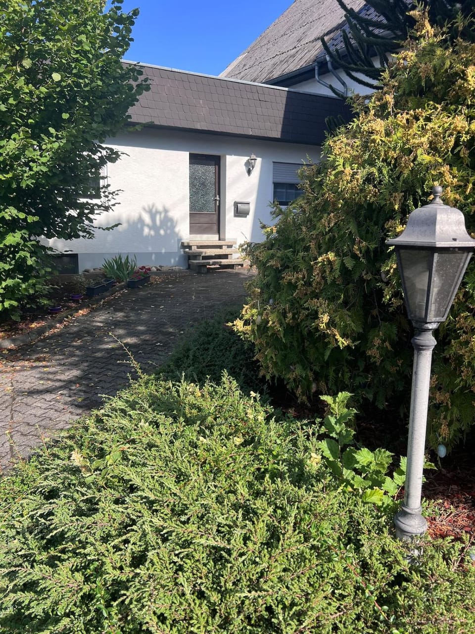 Garden view