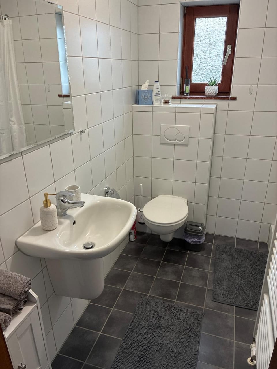 WW Stay Apartment in Rhineland-Palatinate