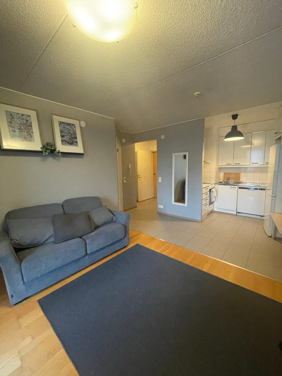 Aruts Heven for you Apartment in Helsinki