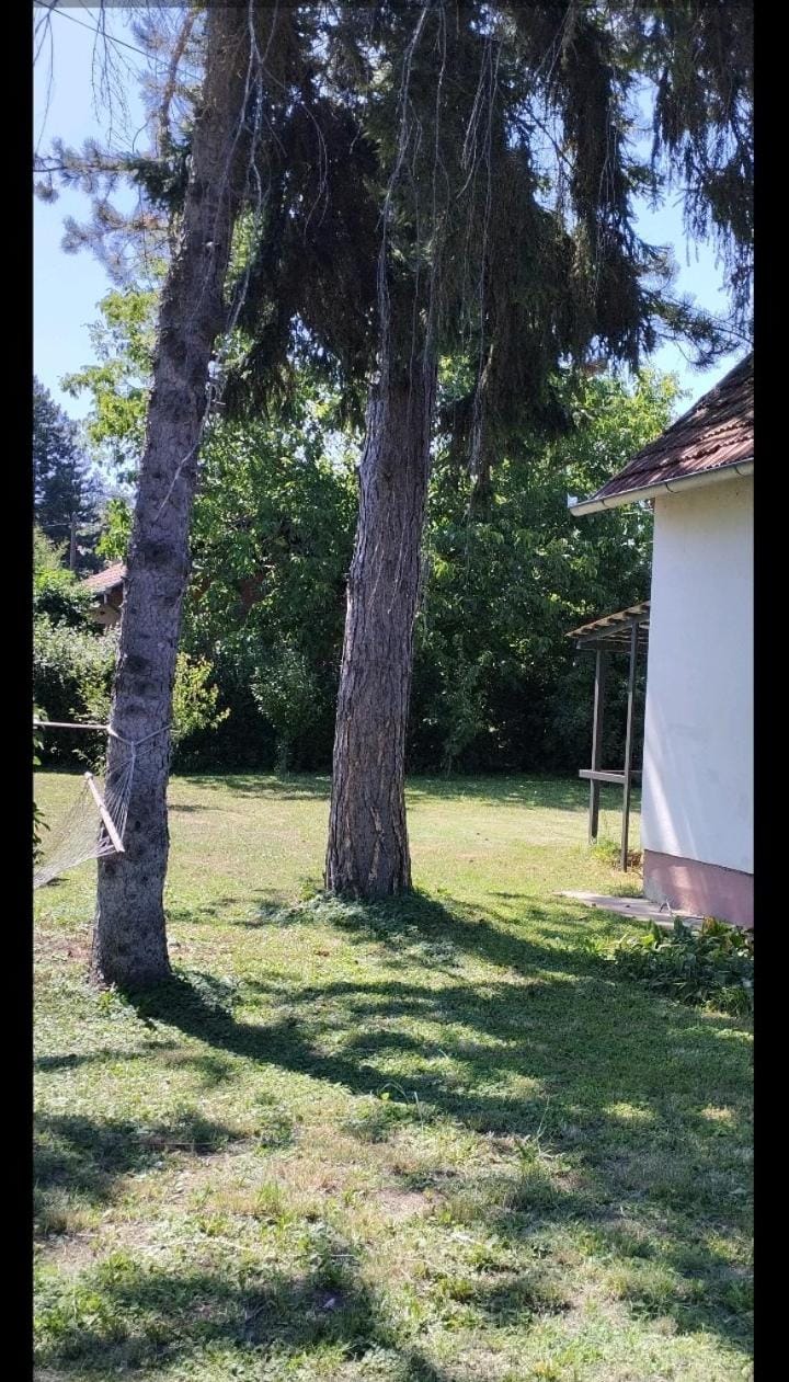 Vila Sunce Villa in Novi Sad