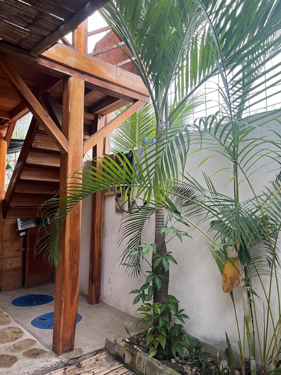 Casa Libelula House in Manabí Province