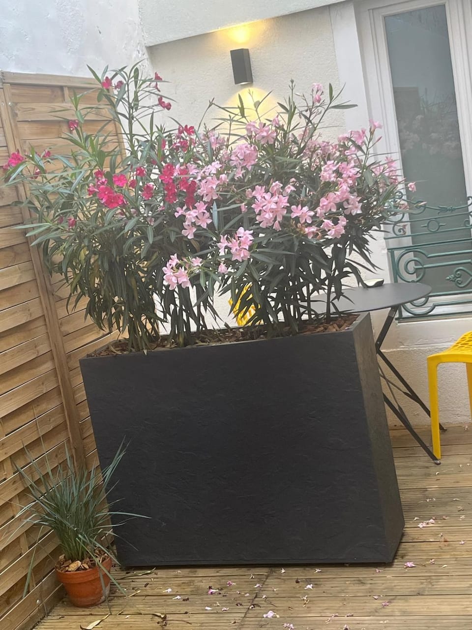 Le Ptit Hibou - Studio Cosy avec accès Terrasse Apartment in Dijon