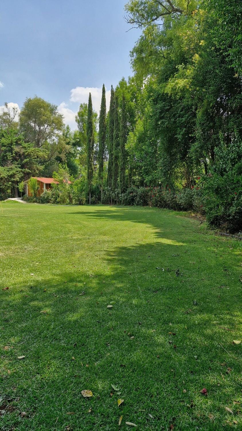 Palma Breakfast & Hot Tub included Bed and Breakfast in Hidalgo, Mexico